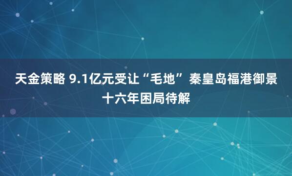 天金策略 9.1亿元受让“毛地” 秦皇岛福港御景十六年困局待解